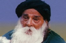Yogi Image