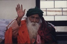 Yogi Image